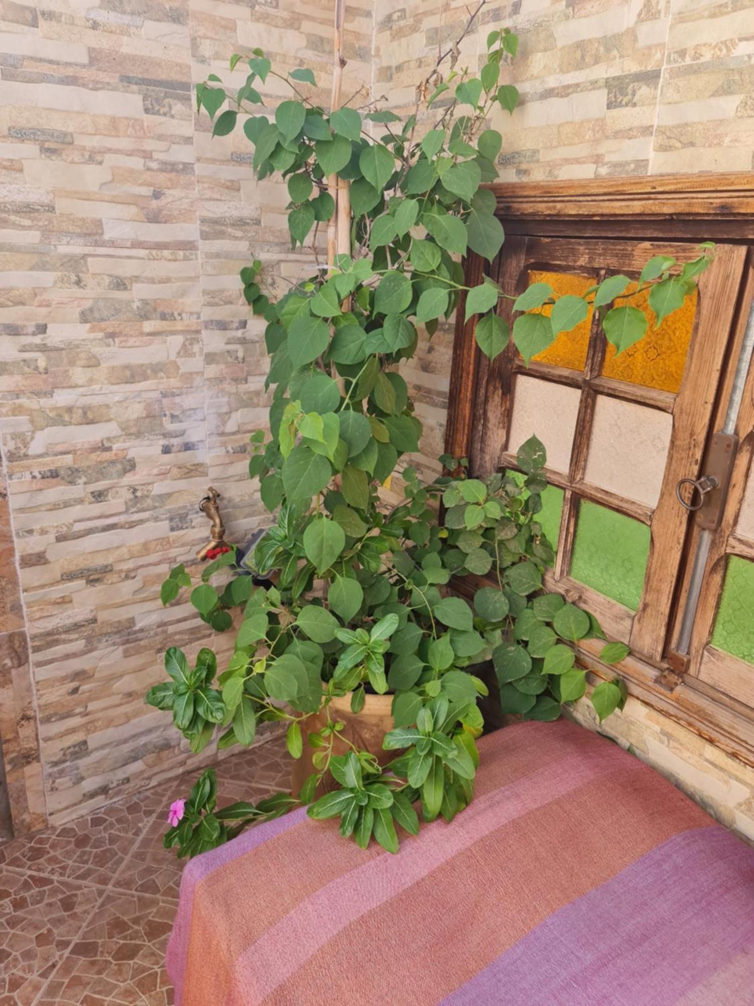 Riad Bab Almadina Marrakesh Bagian luar foto